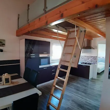 Apartment Tonko